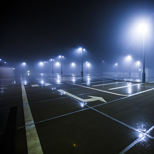 lighting-cat-_0001_postlight