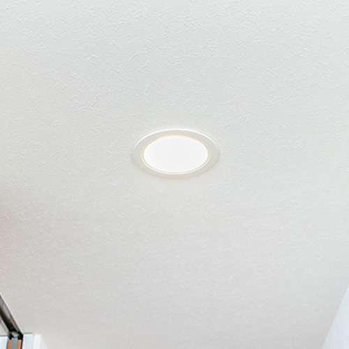 lighting-cat-_0010_canless