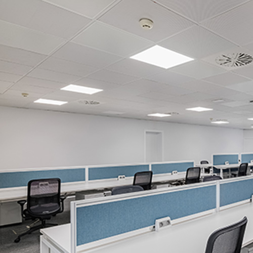 lighting-cat-_0012_flatpanel