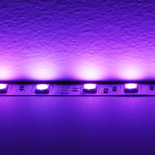lighting-cat-_0015_tapelight